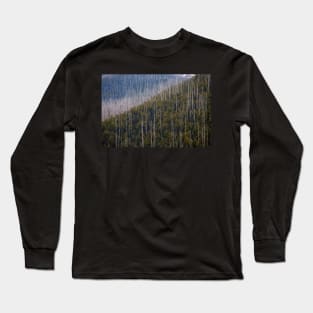 Falls Creek Victoria - Regrowth Long Sleeve T-Shirt